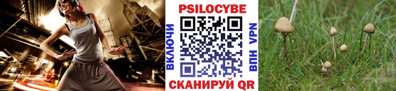 Галлюциногенные грибы мухоморы  Спас-Деменск 
